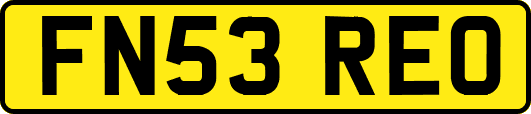 FN53REO