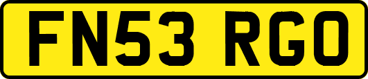 FN53RGO