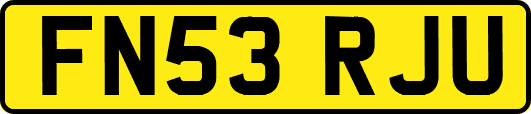 FN53RJU