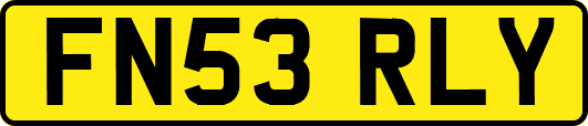 FN53RLY