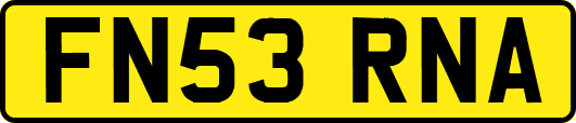 FN53RNA