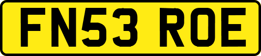FN53ROE