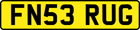 FN53RUG