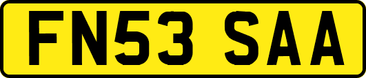 FN53SAA