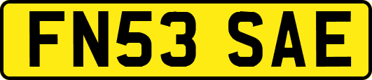 FN53SAE