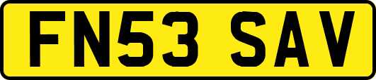 FN53SAV
