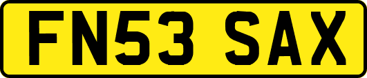 FN53SAX