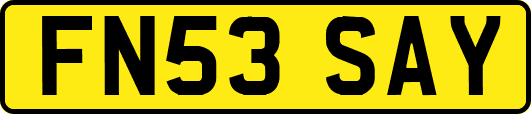 FN53SAY