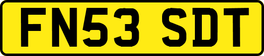 FN53SDT