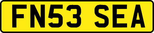 FN53SEA