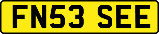 FN53SEE