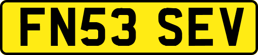 FN53SEV