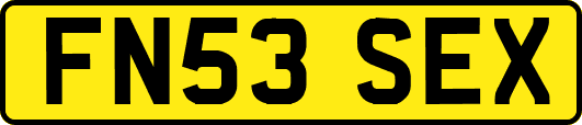 FN53SEX