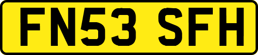 FN53SFH