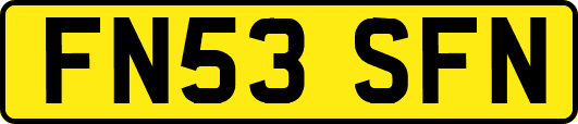 FN53SFN