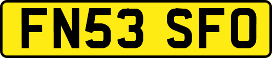 FN53SFO