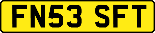 FN53SFT