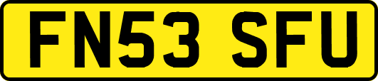 FN53SFU