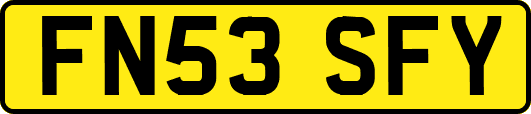 FN53SFY