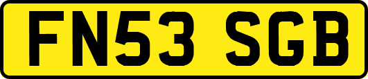 FN53SGB