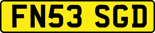 FN53SGD
