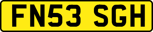FN53SGH