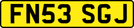 FN53SGJ