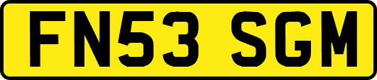 FN53SGM