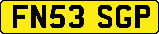 FN53SGP