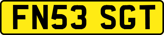 FN53SGT
