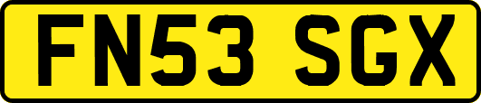 FN53SGX