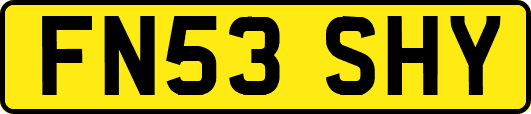 FN53SHY