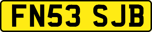 FN53SJB