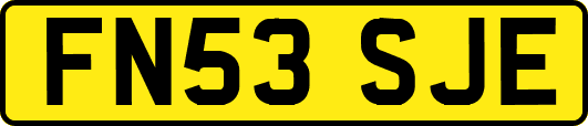 FN53SJE