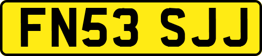 FN53SJJ