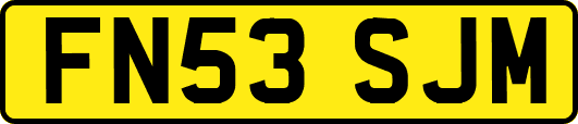 FN53SJM