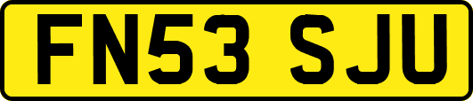FN53SJU