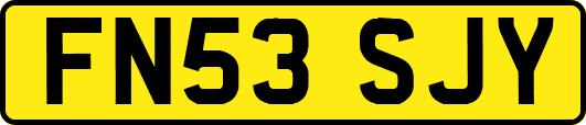 FN53SJY