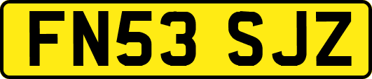 FN53SJZ
