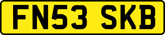 FN53SKB