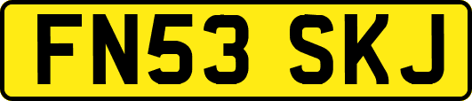 FN53SKJ