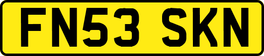 FN53SKN
