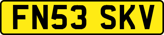 FN53SKV