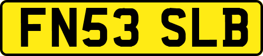 FN53SLB