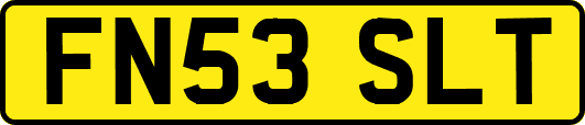 FN53SLT