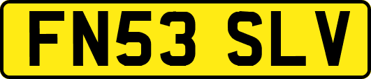 FN53SLV