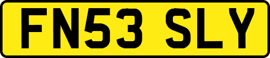 FN53SLY