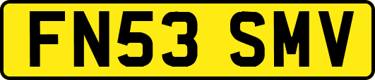 FN53SMV