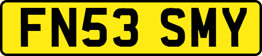 FN53SMY
