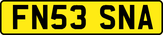 FN53SNA